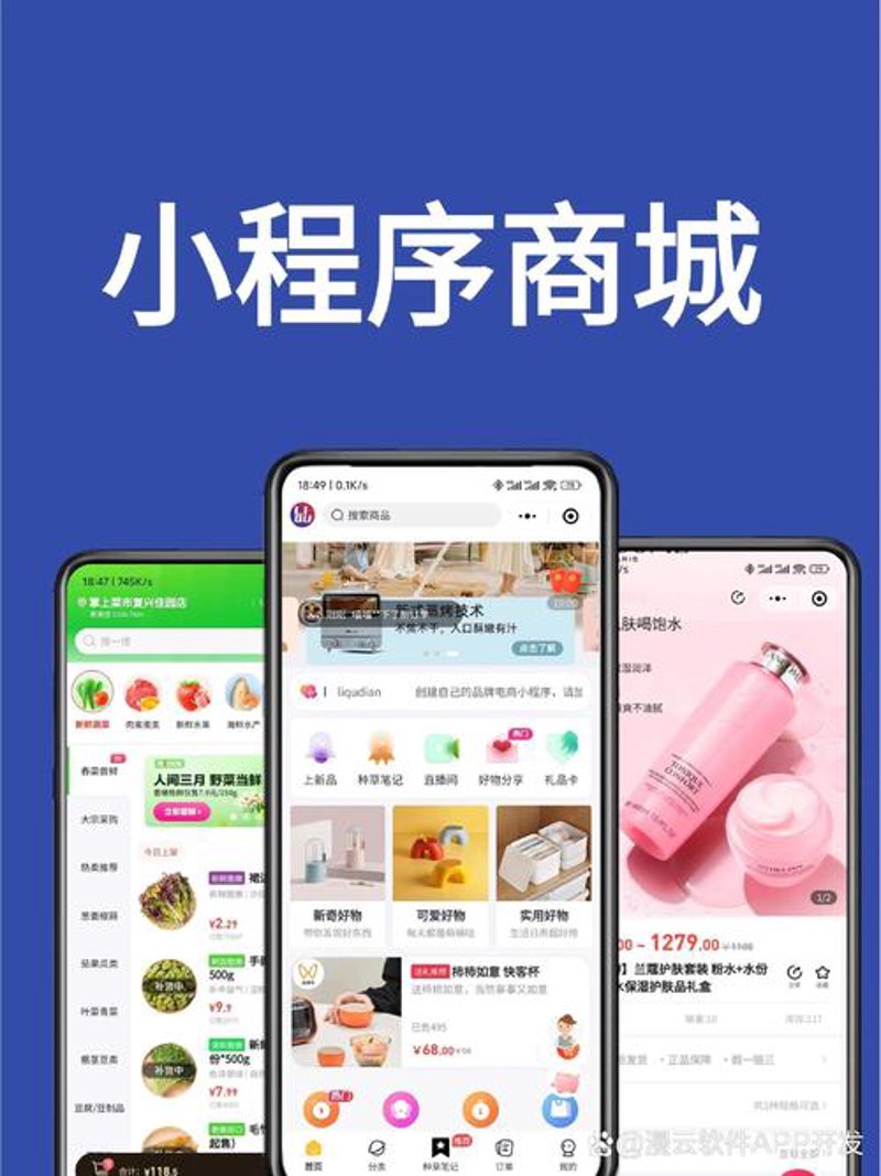 定制化企业软件：提升竞争力的制胜法宝